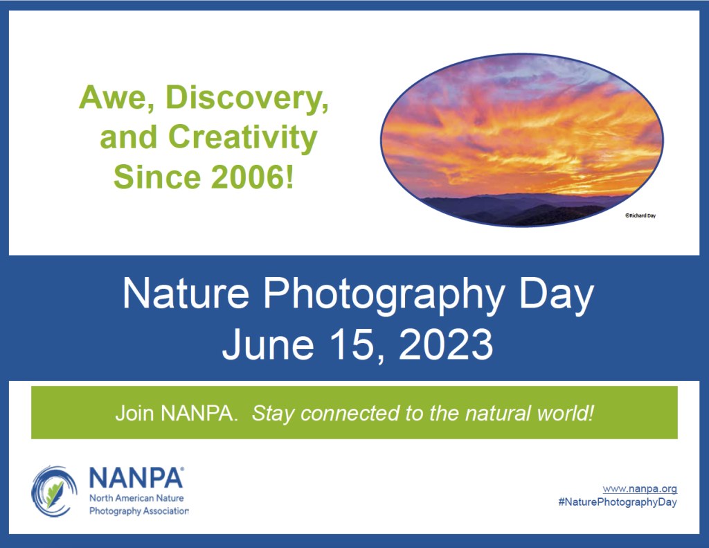 nature photography day nanpa